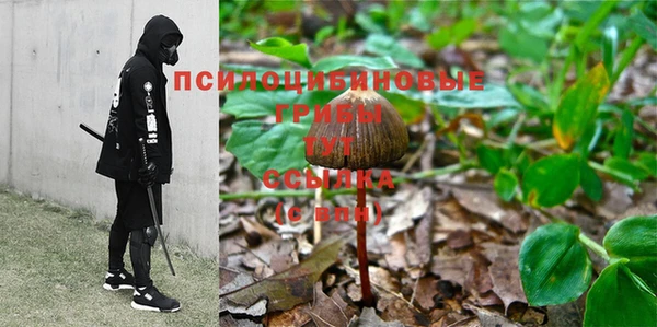 прущие грибы Алексеевка