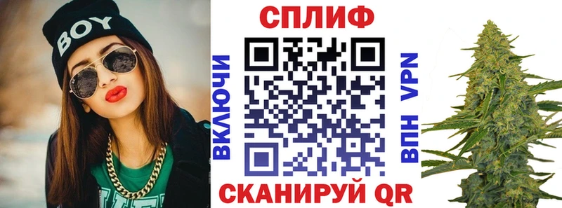 Канабис планчик  закладки  Кочубеевское 